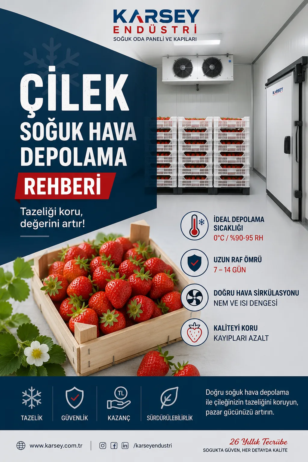 Çileklerin Tazeliğini Korumak: Soğuk Hava Depolama ve İpuçları