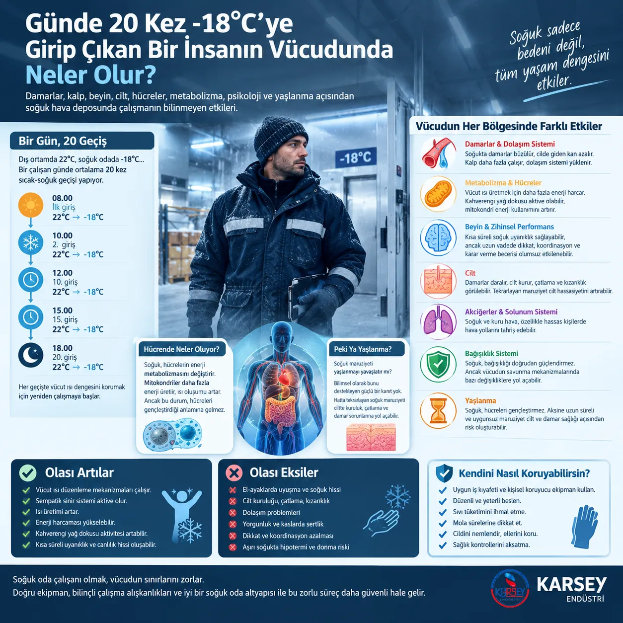 Freezer Body Shock: What Happens at -18°C All Day?