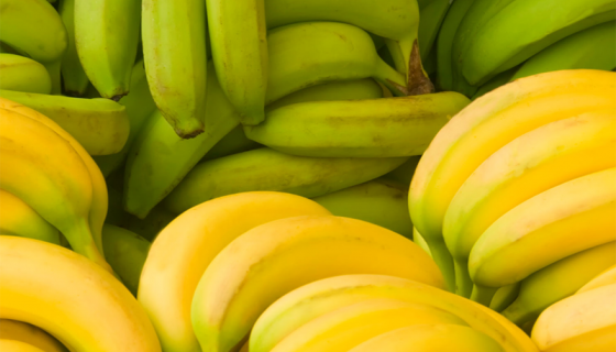 Muz Sarartma Soğuk Hava Tesisleri